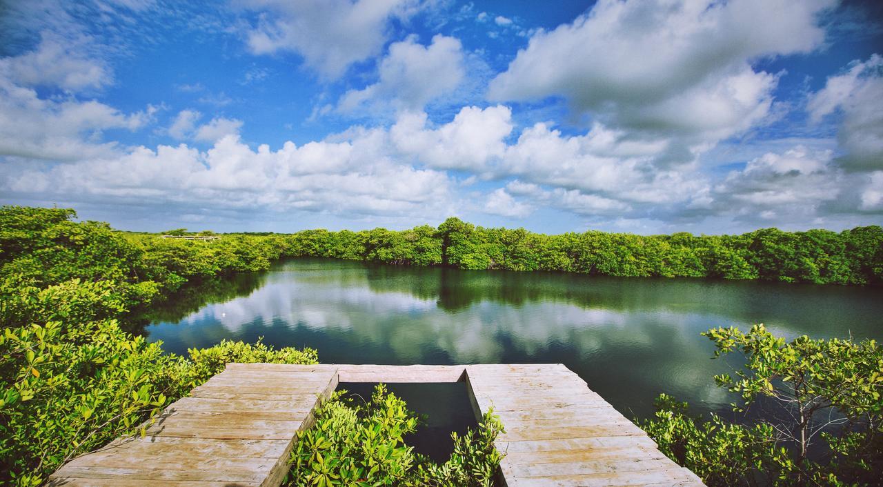 Nativus Glamping & Cenote Tulum Hotel ภายนอก รูปภาพ