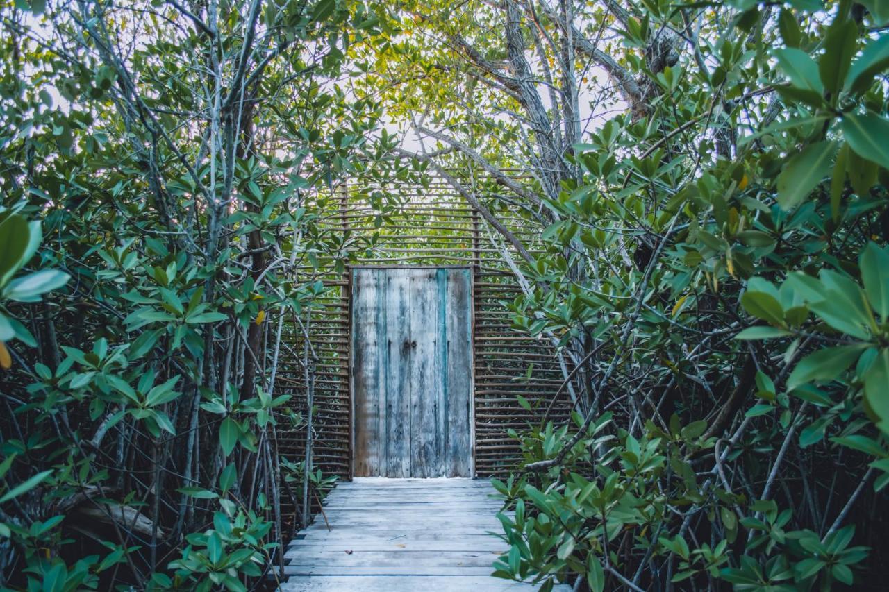 Nativus Glamping & Cenote Tulum Hotel ภายนอก รูปภาพ